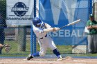 Baseball vs Babson  Wheaton College Baseball vs Babson during Championship game of the NEWMAC Championship hosted by Wheaton. - (Photo by Keith Nordstrom) : Wheaton, baseball, NEWMAC